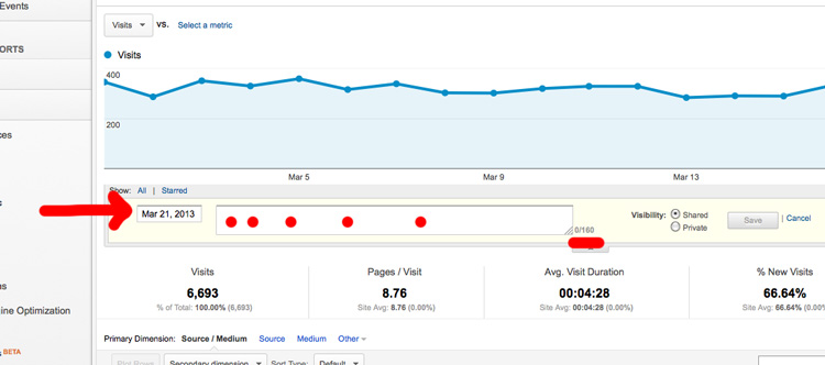 google-analytics-annotation-detail