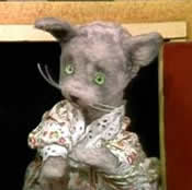 Henrietta Pussycat