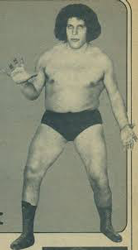 andre-the-giant