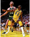 bird-magic-nba-poster