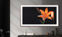 art-tv-installation