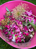 deadheading-for-growth