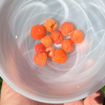 double-gold-raspberries