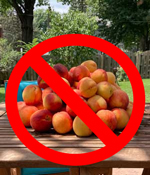 no-peaches.jpg