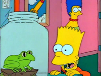 the-simpsons-ah-the-life-frog-bart