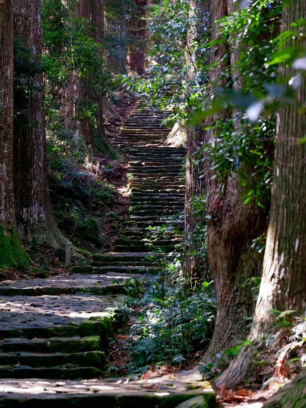 Poem: Regarding A Journey Post image