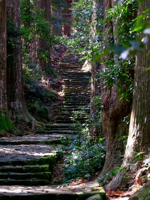 image of stairs at the start of a journey