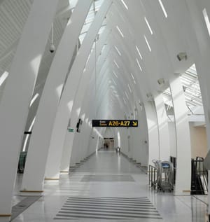 airport books for terminal life