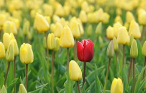 Greg's Right Fit Newsletter #12–This week: Happiness, Aging, Photos Post feature image