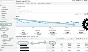 Google Analytics Organic Traffic Training